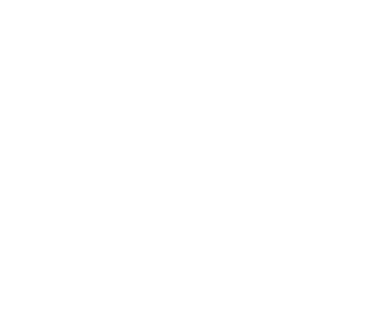 MANE LOGO BLANCO